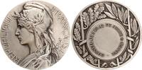 Frankreich - Seine-Marne Versilberte Bronzemedaille (v. Adolphe Rivet) auf den Generalrat von Seine und Marne -