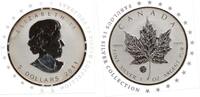 Kanada 5 Dollars - Maple Leaf, 1 Unze Silber, in Münzkapsel Faboulous 15 Silver Collection -