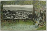 Österreich / Ungarn Postkarte aus Johannisbad i.B. -
