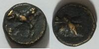 Pisidien AR 10 mm Gorgoneion Rs. Athenakopf, Astragalos