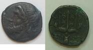 Sizilien AE Siracus - Sicilien Hieron II. 275 - 215 v. chr.