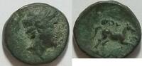 Lukanien AE 13 Stadt Thurium Kopf des Apollo Rs. springendes Pferd
