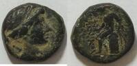 Syrien AE 14/15 Seleucus III