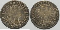 Polen Groschen Sigismund I, 1506-44