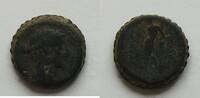 Syrien AE Apollonkopf 12,24 g