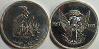 Sudan 2 1/2 Pound Schuhschnabelstorch -
