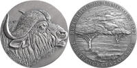 Cameroon 2000 Francs Buffalo Expressions of Wildlife 2 oz Antique finish Silver Coin 2000 Francs CFA -