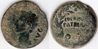 Roman Empire Augustus Colonia Patricia (Corduba) (H13) -