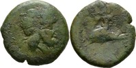 Italien AE19 Paestum/Poseidonia