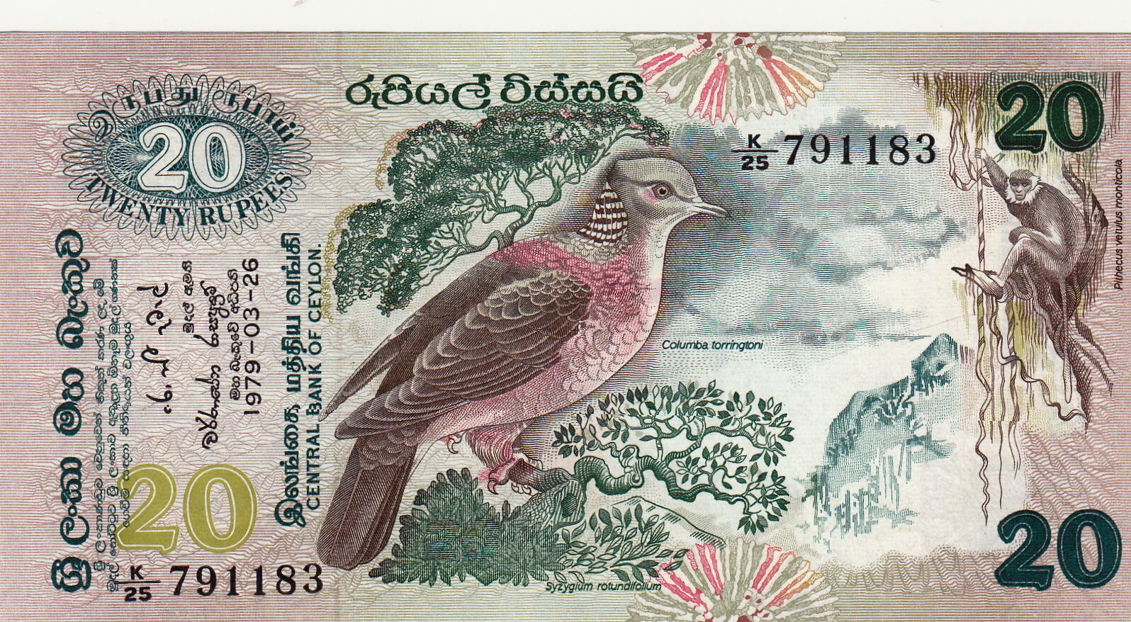Купюры мм. Банкнота Шри Ланка 20 рупий. Купюра rupees twenty. Пернатые на банкнотах. Шри Ланка 20 рупий 2015.