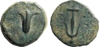 Seleucid Kingdom AE 15 Seleucid Kingdom. Antiochos VII Euergetes (Sidetes), 138-129 BC. AE Prutah