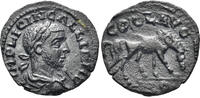 ROMAN PROVINCIAL AE As 253-260 n. Chr. Troas, Alexandreia. Gallienus. 25... 34,00 EUR  zzgl. 6,00 EUR Versand