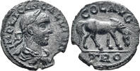 ROMAN PROVINCIAL AE As 253-260 n. Chr. Troas, Alexandreia. Gallienus. 25... 36,00 EUR  zzgl. 6,00 EUR Versand