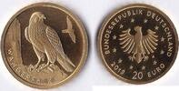 20 Euro 2019 A BRD Heimische Vögel - Wanderfalke 1/8 Unze Gold prägefrisch, gekapselt mit Originalzertifikat