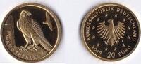 BRD 20 Euro Heimische Vögel - Wanderfalke 1/8 Unze Gold -