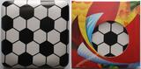 10 Dollar<br>1/2 oz<br>15,87g<br> fein<br> 34 mm Ø Frauenfußball Weltmeisterschaft 2015 in Kanada, <b> -Die Feier- 6/6 </b> <b>PP</b>