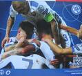 Slowakei 3,88 € + Medaille Kursmünzensatz 8 Münzen + 1 Medaille Fußball-Europameisterschaft Frankreich 2016 stgl<br> im<br> Blister