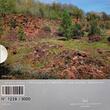 Luxemburg PP 5 € <br> <b> ab sofort lieferbar !!!</b> <br> 2021 Die Zauneidechse,(Lacerta agilis) Nr.13 <b>SELTEN !</b> <b> PP</b> <br> im<br> Blister