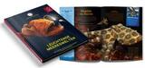 Österreich-Sammelalbum (ohne Münzen)<br>III.Serie 2022-2025 Sammelalbum leuchtende Meereswelten (ohne Münzen), <b>lieferbar</b> Neu - <br> unverpackt - <br> -der Umwelt <br> zu Liebe-
