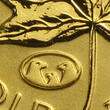 Kanada 1/10 oz<br>5 Dollar<br> 3,11g<br> fein<br> 16,5 Ø 1990-<br>2003 Maple Leaf 1/10 oz. Zuckerahornblatt 999,9er Gold, mit Privy Eagle,<b>1998</b> stgl. <br><b> Anlagegold / <b>Sammlermünze</b>