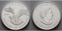 Kanada 5 $ Wildlife II - Greifvögel - Wanderfalke, <b>7. Ausgabe</b> Bild