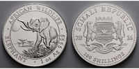 Somalia 100 Shillings<br>1 oz.<br>Ø 39 mm Elefant 13. Ausgabe, 999er Silber Foto