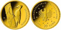 Deutschland 20 Euro<br>3,89g<br>fein<br> 17,5 mm Ø Heimische Vögel,Schwarzspecht, <br><b> Prägestätte nach unserer Wahl</b>/</b> -