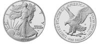 USA 1 $ Silber Eagle 2024 - <b>Typ II - </b> -