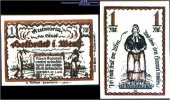 Delbrück Westfalen 1 Mark Stadt 27.1.1921, Wz Ovalmuster -