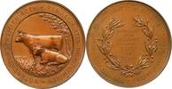 FINLAND RUSSIA BRONZE Alexander III Finnish Agriculture Jahn TOP POP -