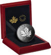 Kanada 50$ 2024 5 oz Silbermünze Maple Leaves in Motion - Rhodium Beschichtung - Incused PP