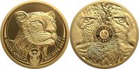 Südafrika 50 Rand 1/4 oz Goldmünze Big Five II - Leopard -