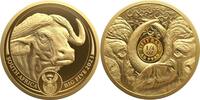 Südafrika 50 Rand 1/4 oz Goldmünze Big Five II - Büffel -