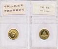 China 20 Yuan 1/20 oz Goldmünze Panda -