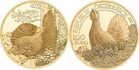Österreich 100€ Goldmünze Wildtiere - Der Auerhahn -