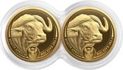 Südafrika 100 Rand 2023 2 x 1/4 oz Goldmünzen Big Five II - Büffel - Doppel-Kapsel PP
