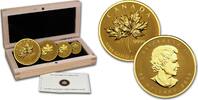 Kanada 2013 Maple Leaf Fractional Set Reverse Proof