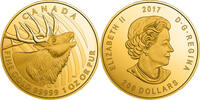 Kanada 200$ 1 oz Goldmünze Ruf der Wildnis - Rothirsch -