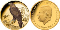 Niue 100$ 2025 1 oz Goldmünze Birds of Australia - Keilschwanzadler PP 4900,00 EUR kostenloser Versand