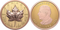 200$ 2025 Kanada 1 oz Goldmünze Maple Leaf - Ultra High Relief Reverse Proof
