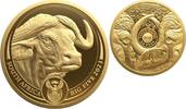 Südafrika 50 Rand 2023 1 oz Goldmünze Big Five II - Büffel PP
