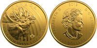 200$ 2019 Kanada 1 oz Goldmünze Call of the Wild - Moose 