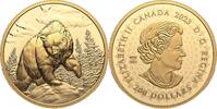 Kanada 200$ 1 oz Goldmünze Grizzlybär - Ultra High Relief -