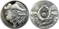 Südafrika 20 Rand 2021 1 oz Platinmünze Big Five I - Büffel PP 3150,00 EUR kostenloser Versand