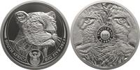 Südafrika 20 Rand 1 oz Platinmünze Big Five II - Leopard -