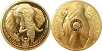 Südafrika 50 Rand 2021 1 oz Goldmünze Big Five II - Elefant PP