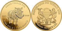 Tschad 50000 Francs 1 oz Goldmünze Mandala Wildlife - Warzenschwein -