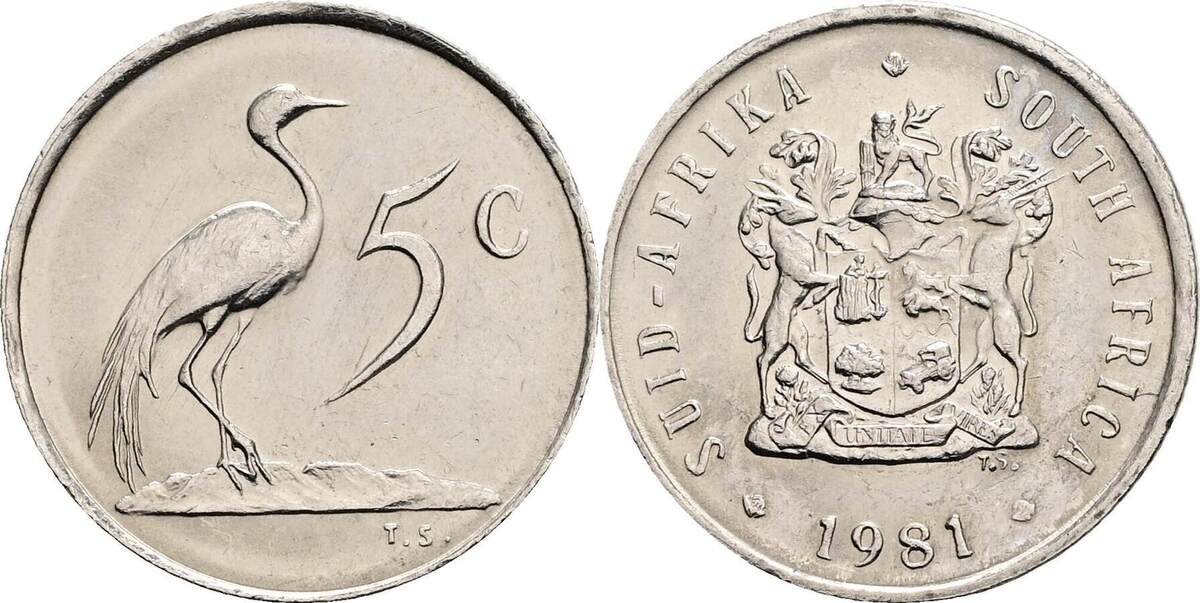 S dafrika 5 Cents 1981 Ss MA Shops s-dafrika-5-cents-1981-ss-ma-shops