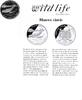 Benin Benin 2004 1000 Franc 'Wild life-Blauwe vinvis' Zilver -