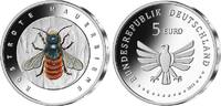 België België 2023 Belgische 1 Franc in coincard Franstalig met het jaartal 1950 -